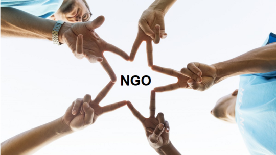 What does NGO stand for and what does it mean?