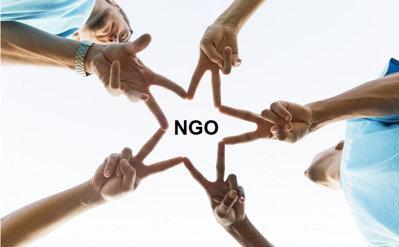 What does NGO stand for and what does it mean? – Projects for NGOs